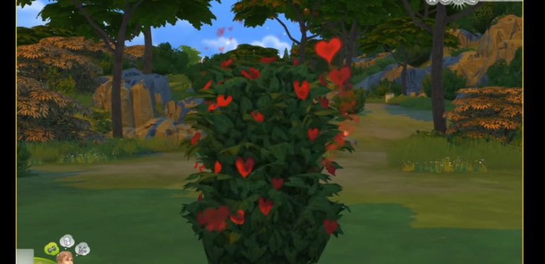 Dwa filmiki z bara-bara!