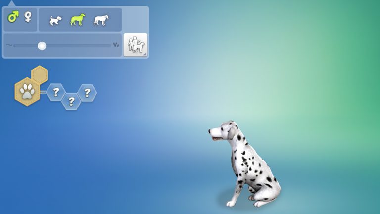 Zwierzaki już niebawem?