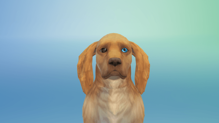 Zwiastun ze Stwórz Zwierzaka. Wpływ cech na zachowanie