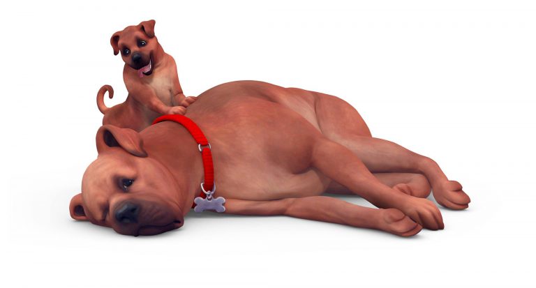 The Sims 4 Psy i koty. Nowe grafiki ze zwierzętami