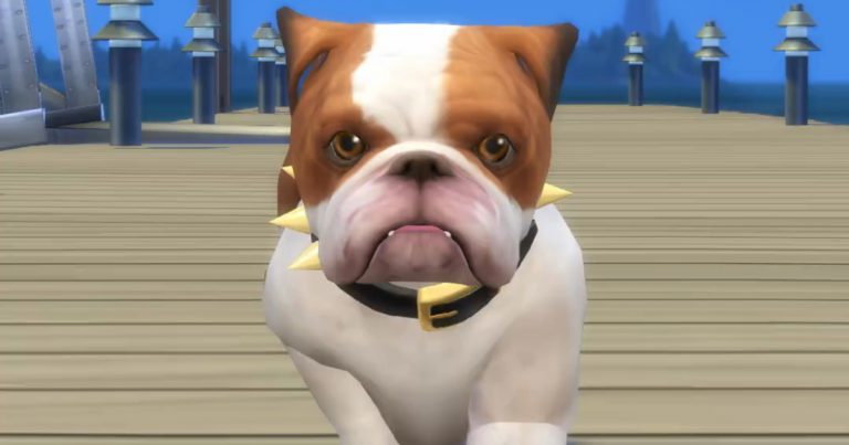 Zwiastun z psami z The Sims 4 Psy i koty. Jest tor przeszkód