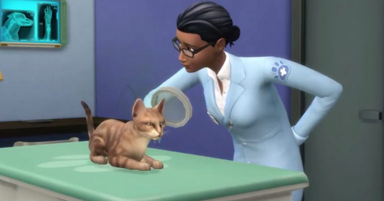 Zapowiedź zwiastuna z weterynarzem. Wideo z Psy i koty