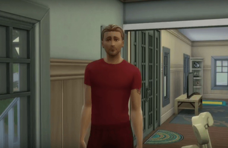 Drugi odcinek „Szczęścia na czterech łapach”