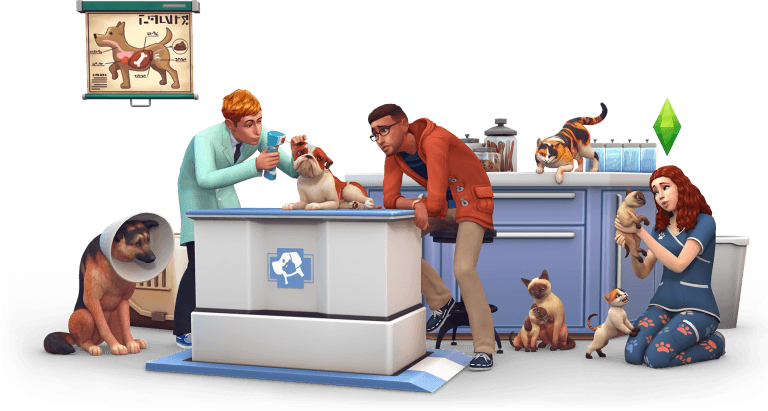 Artwork z kliniki weterynaryjnej