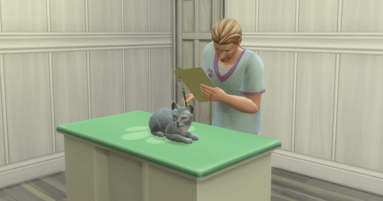 Czwarty odcinek „Szczęścia na czterech łapach”