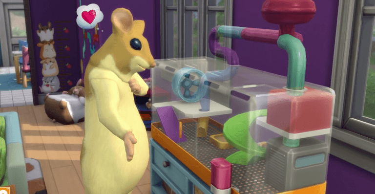 Znamy opis akcesoriów The Sims 4 Mój pierwszy zwierzak