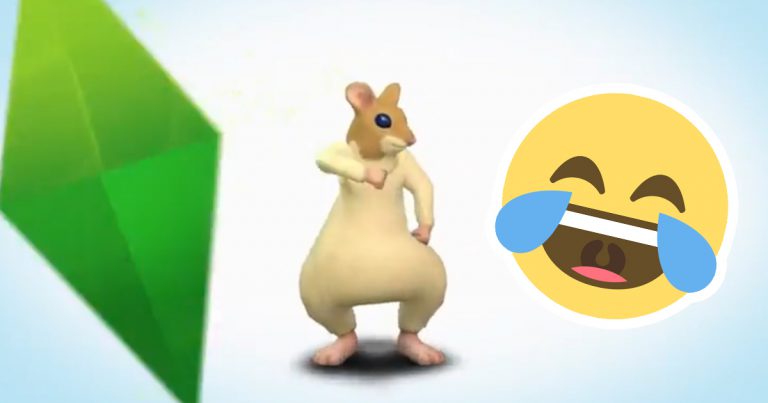 Akcesoria dla zwierzaków? Zapowiedź już jutro