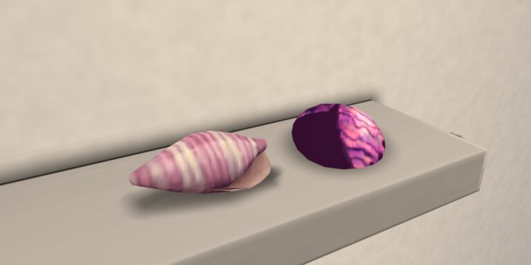 #53 Lista życzeń Wumples: Dekoracyjne muszle