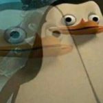 Zdjęcie profilowe NvM