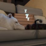 Zdjęcie profilowe Lilien