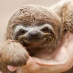 Zdjęcie profilowe Hejo